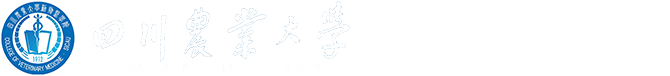 金沙集团1862cc